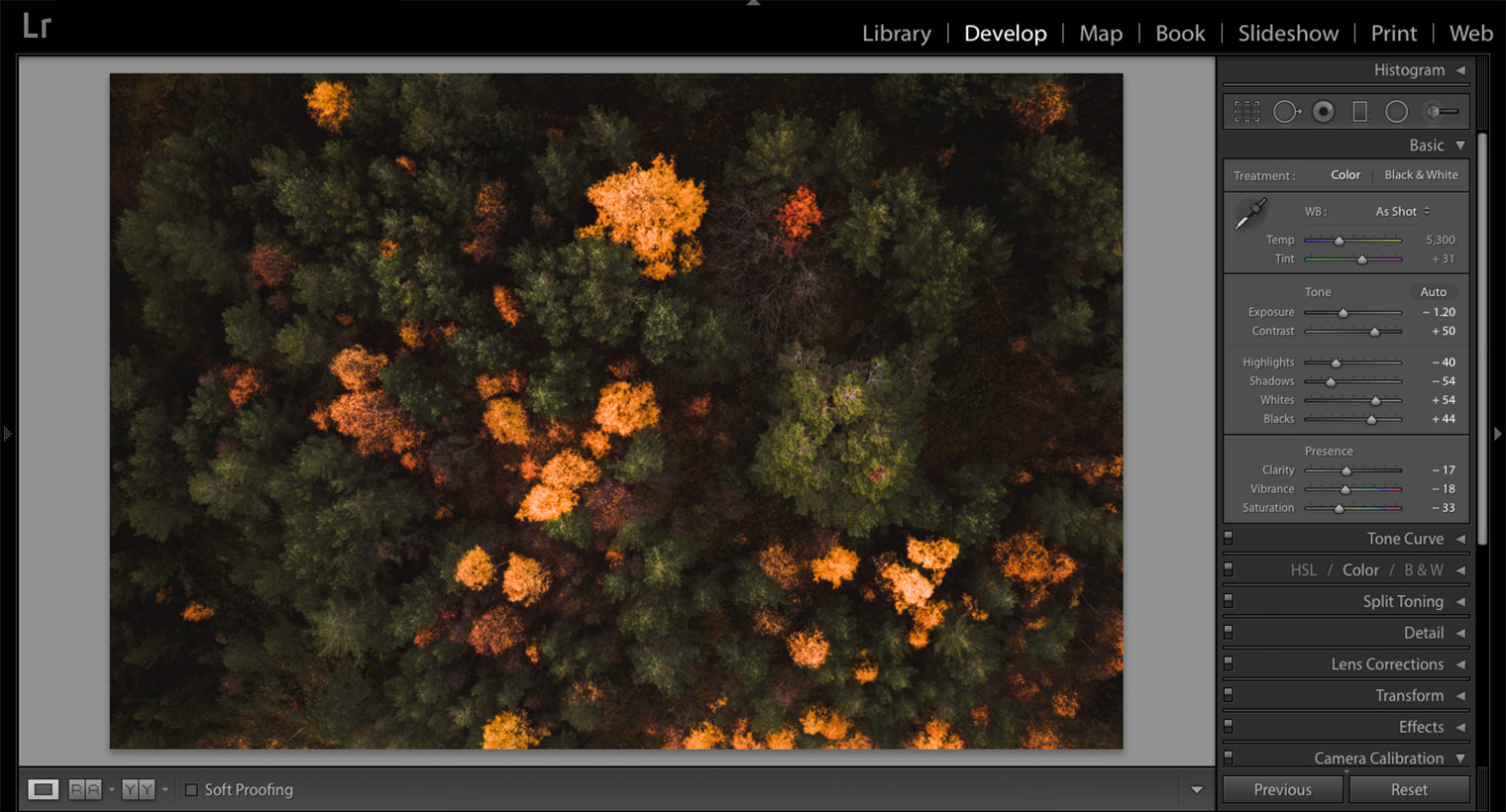 Lightroom Classic Screenshot - Decrease Saturation & Clarity