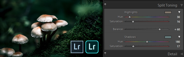 How to apply Split Toning in Lightroom