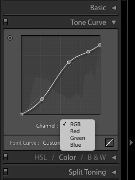 Screenshot of tone curve in Lightroom