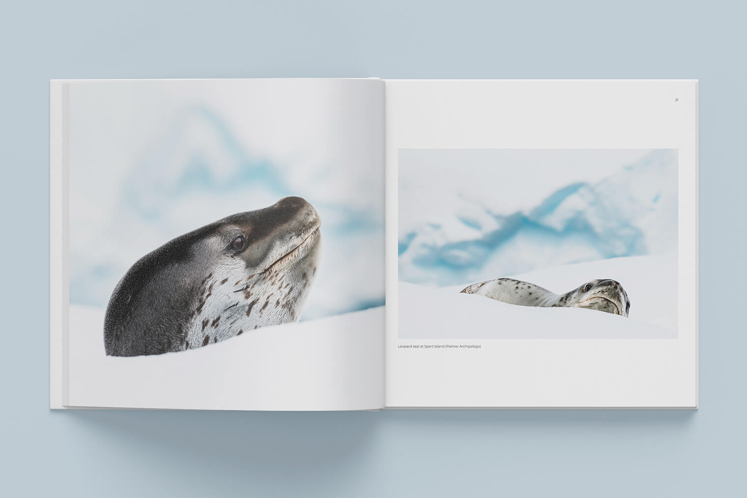 »Antarctica« Sailing Expedition with the Bark Europa (Book by Jan Erik Waider)