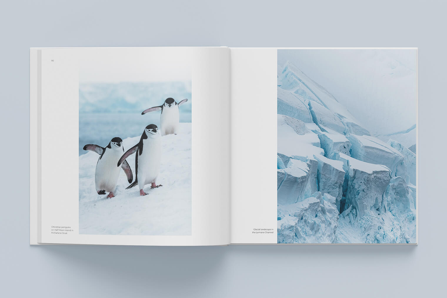 Book: Antarctica - Sailing Expedition with the Bark Europa by Jan Erik Waider