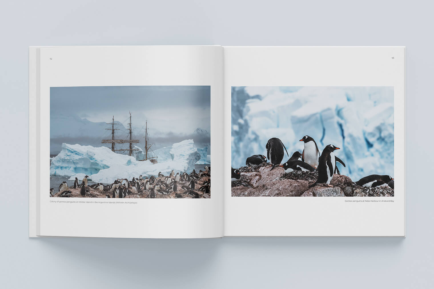 Book: Antarctica - Sailing Expedition with the Bark Europa by Jan Erik Waider