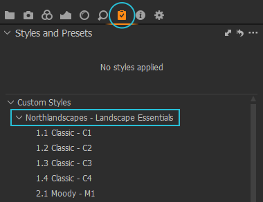Screenshot of Custom Styles in Capture One