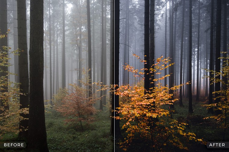 Capture One Styles for Moody Landscapes - Before & After