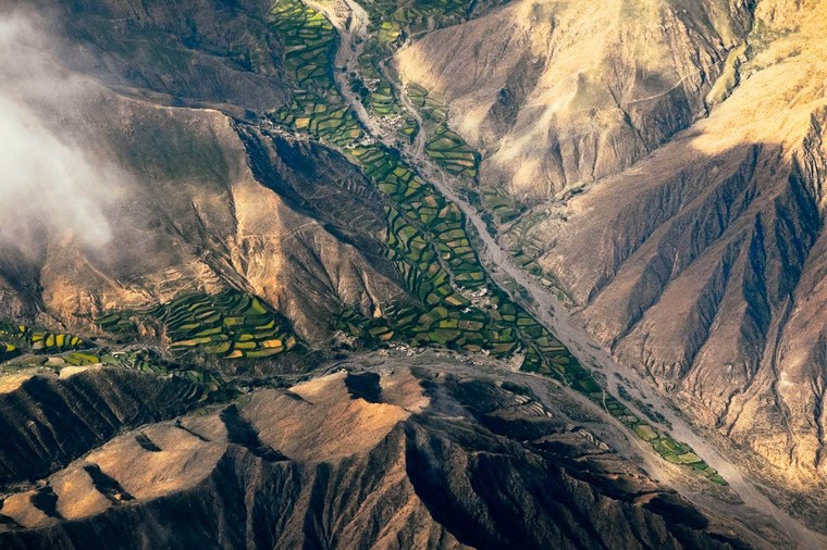 Aerial Photo of Desert Landscape with Trees