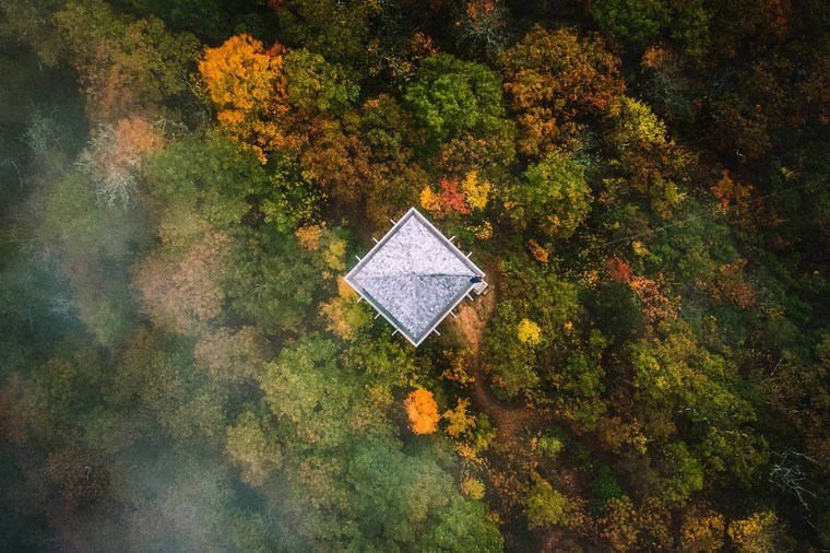 Aerial Photo of Moody Forest Landscape