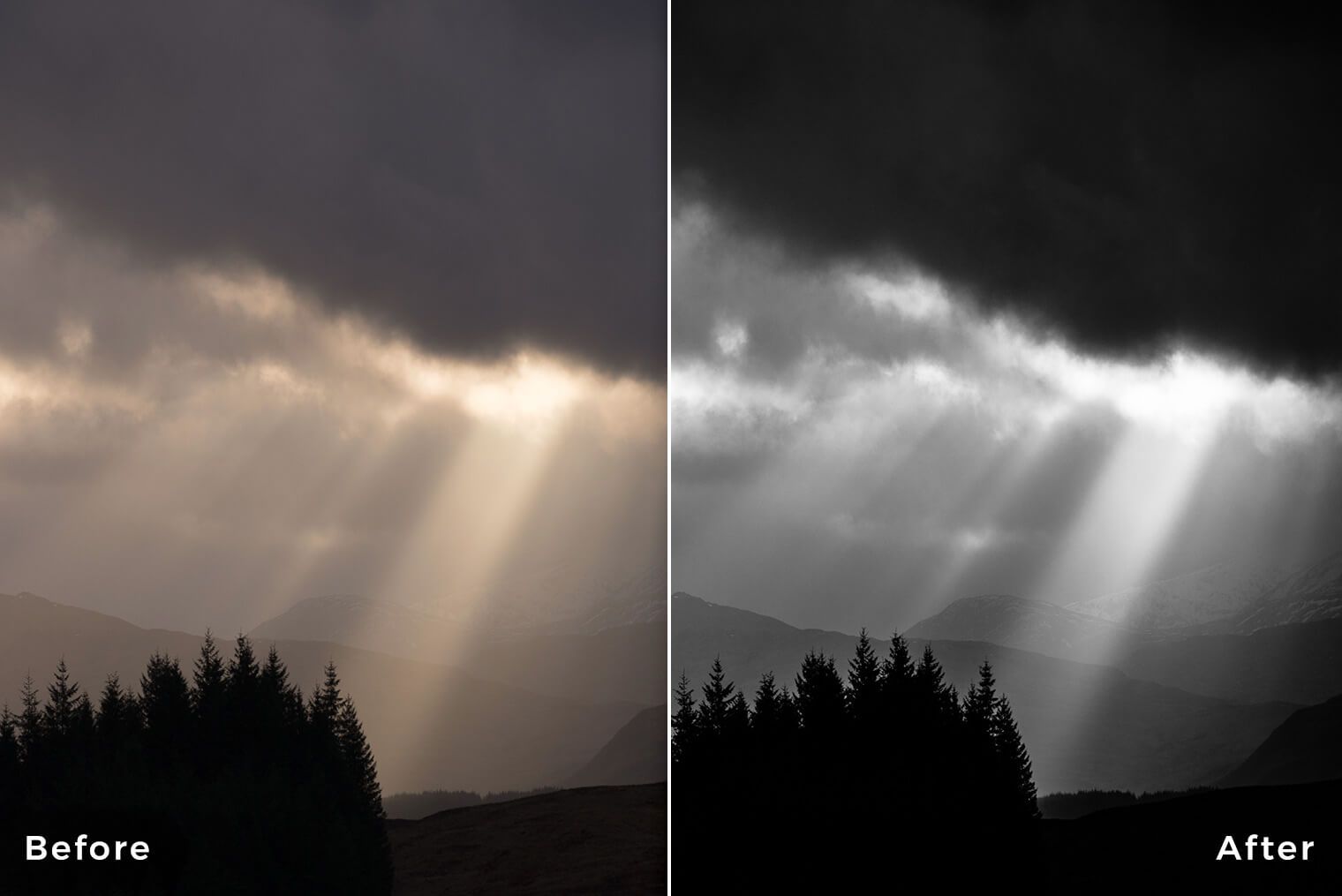 Lightroom Presets for Black & White Photography