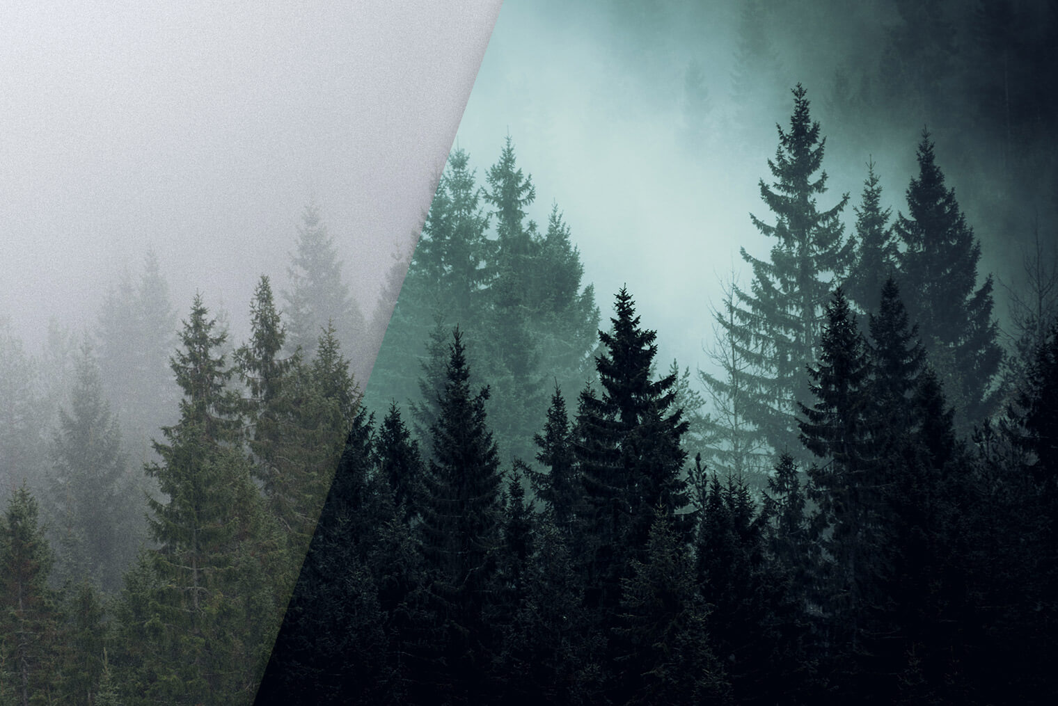 Dark and Dramatic Lightroom Presets for Fine Art Photography