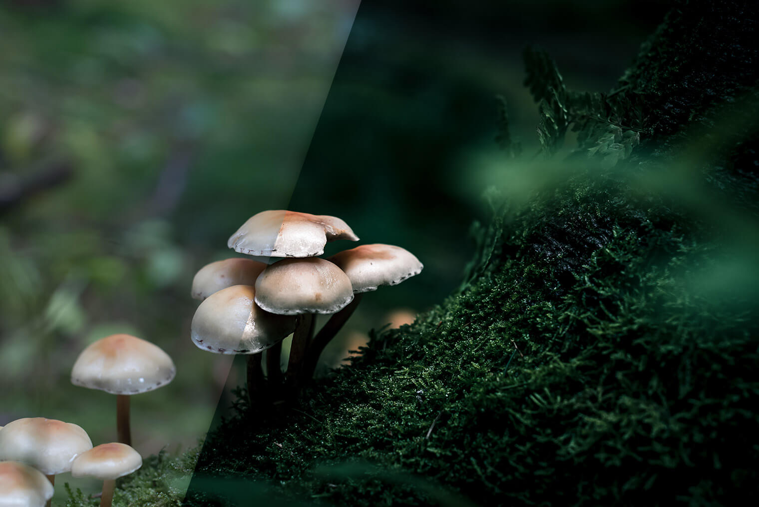 Dark & Dramatic Lightroom Presets for Landscape Photography