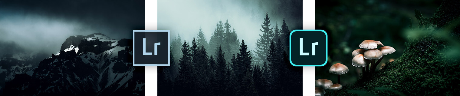 Dark & Dramatic Lightroom Presets