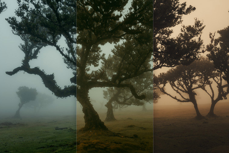 Dark Light Tales - Lightroom Presets - Looks D