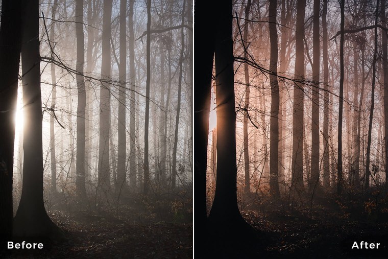 Moody Forest Lightroom Presets