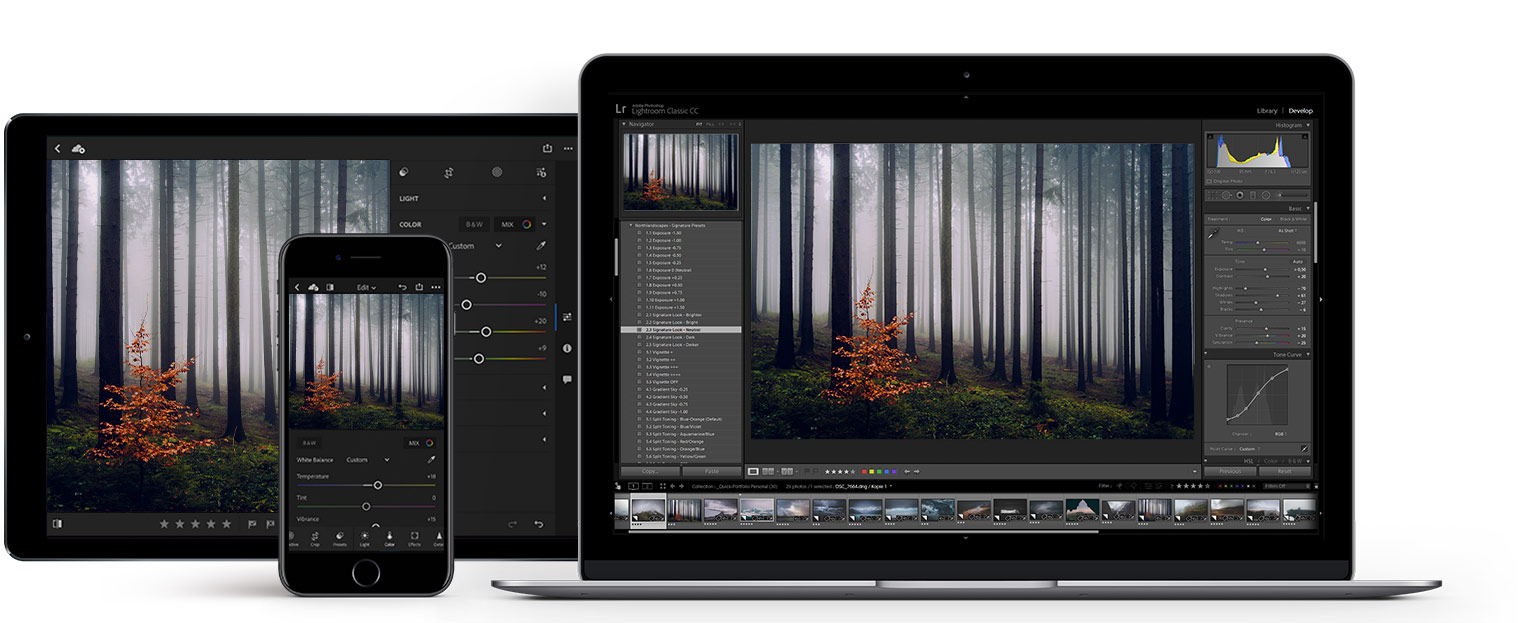 Developed for Lightroom Desktop and Mobile