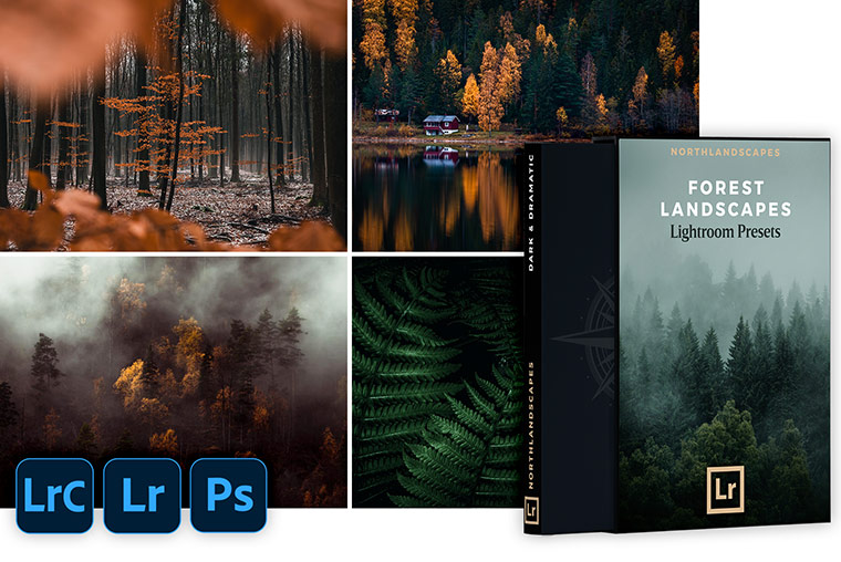 Lightroom Presets for Forest & Nature Photography