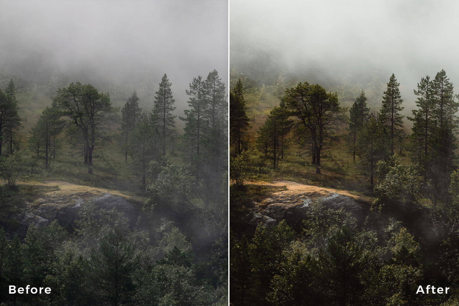 Landscape Essentials - Lightroom Presets - Before & After