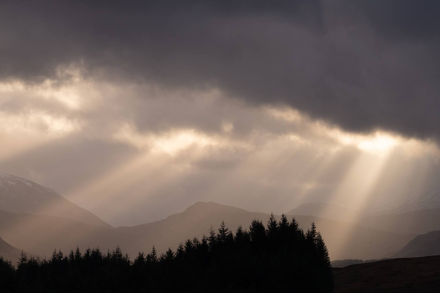 Original and unprocessed photo