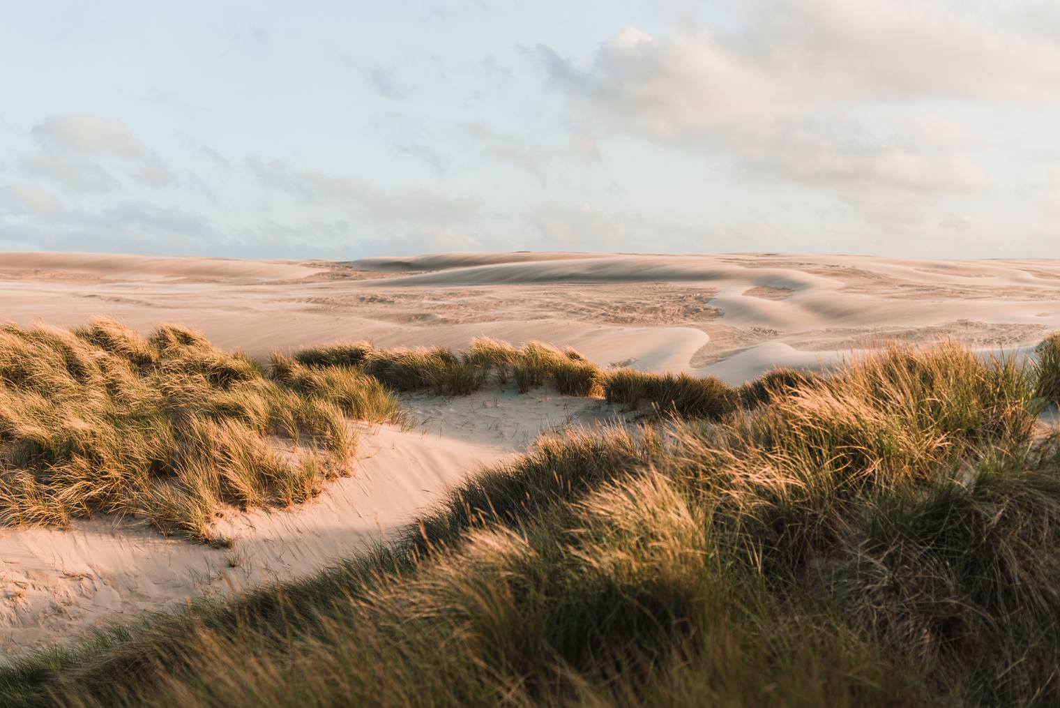 Photo edited with Capture One Styles by Northlandscapes