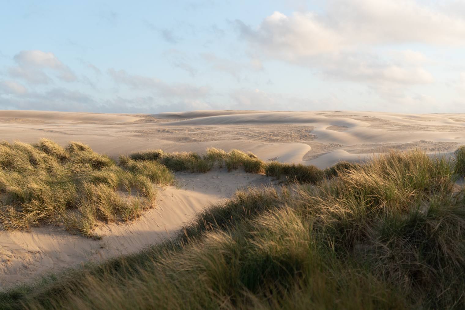 Original and unprocessed photo