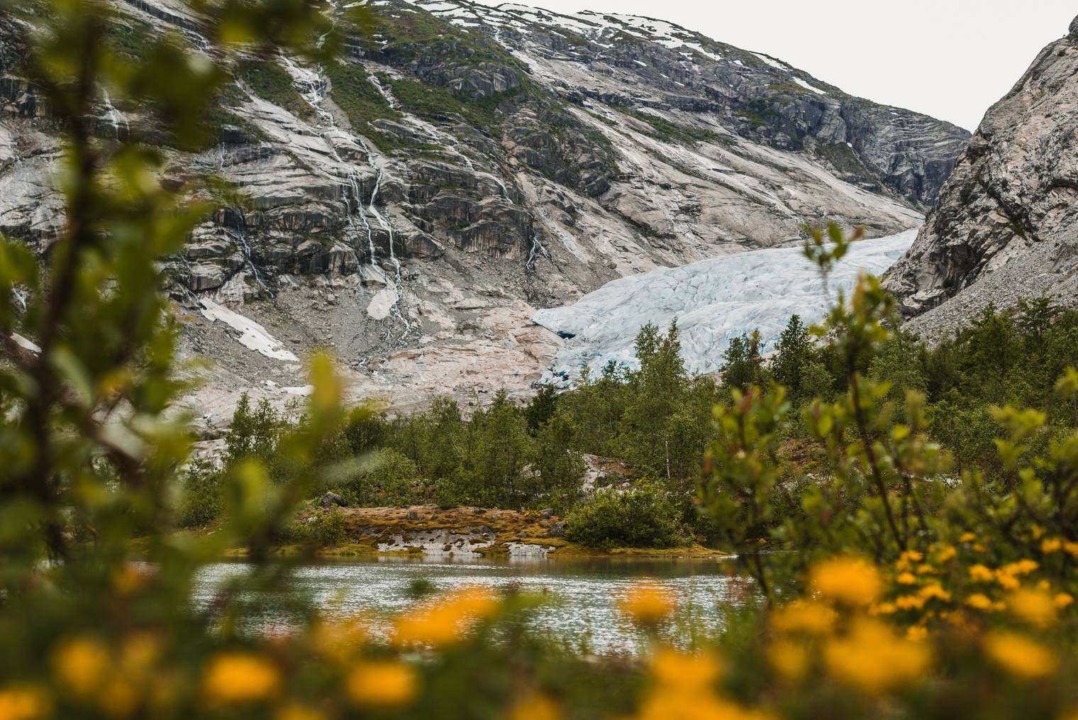 Photo edited with Landscape Capture One Styles by Northlandscapes