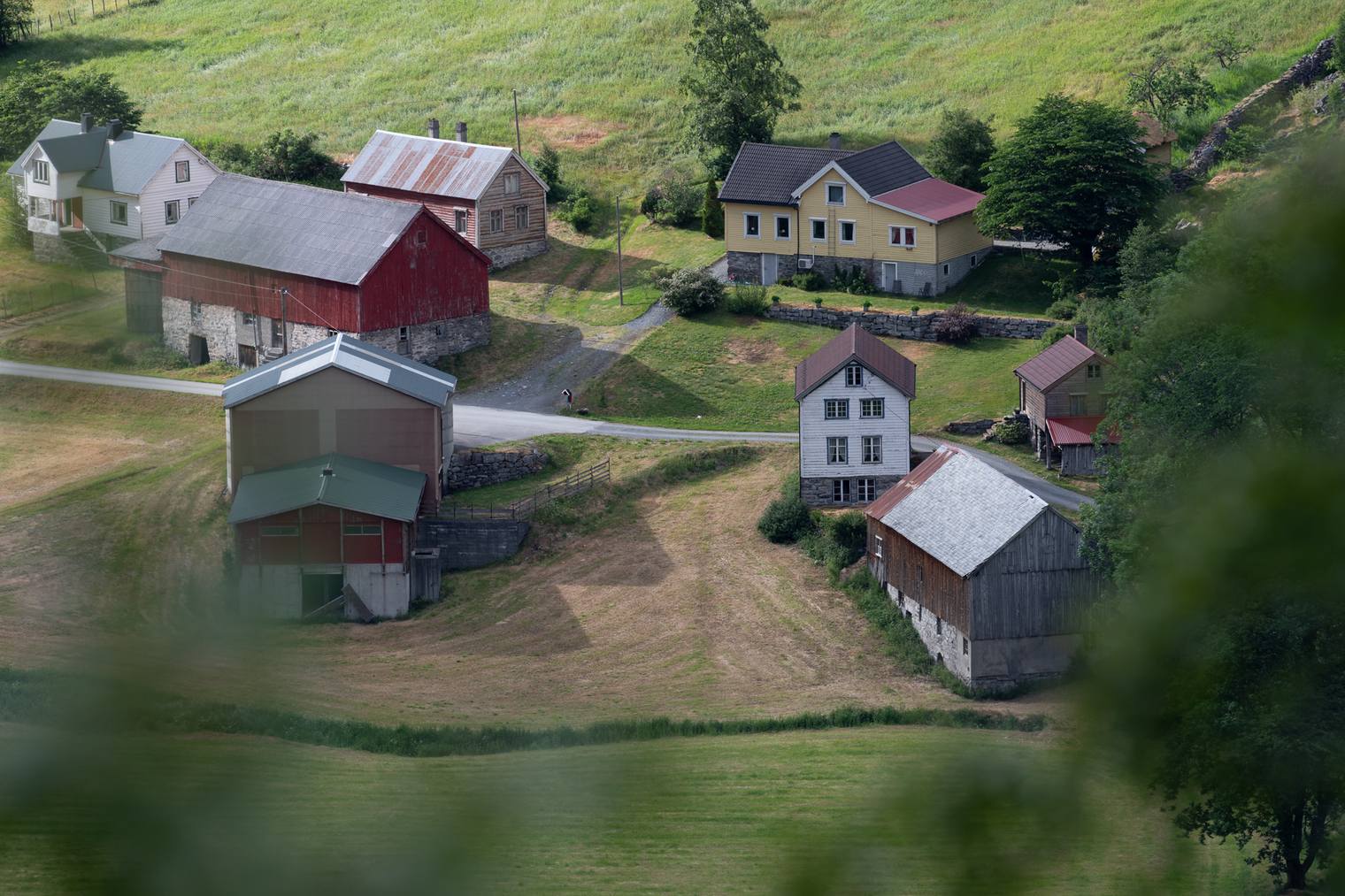 Original and unprocessed photo