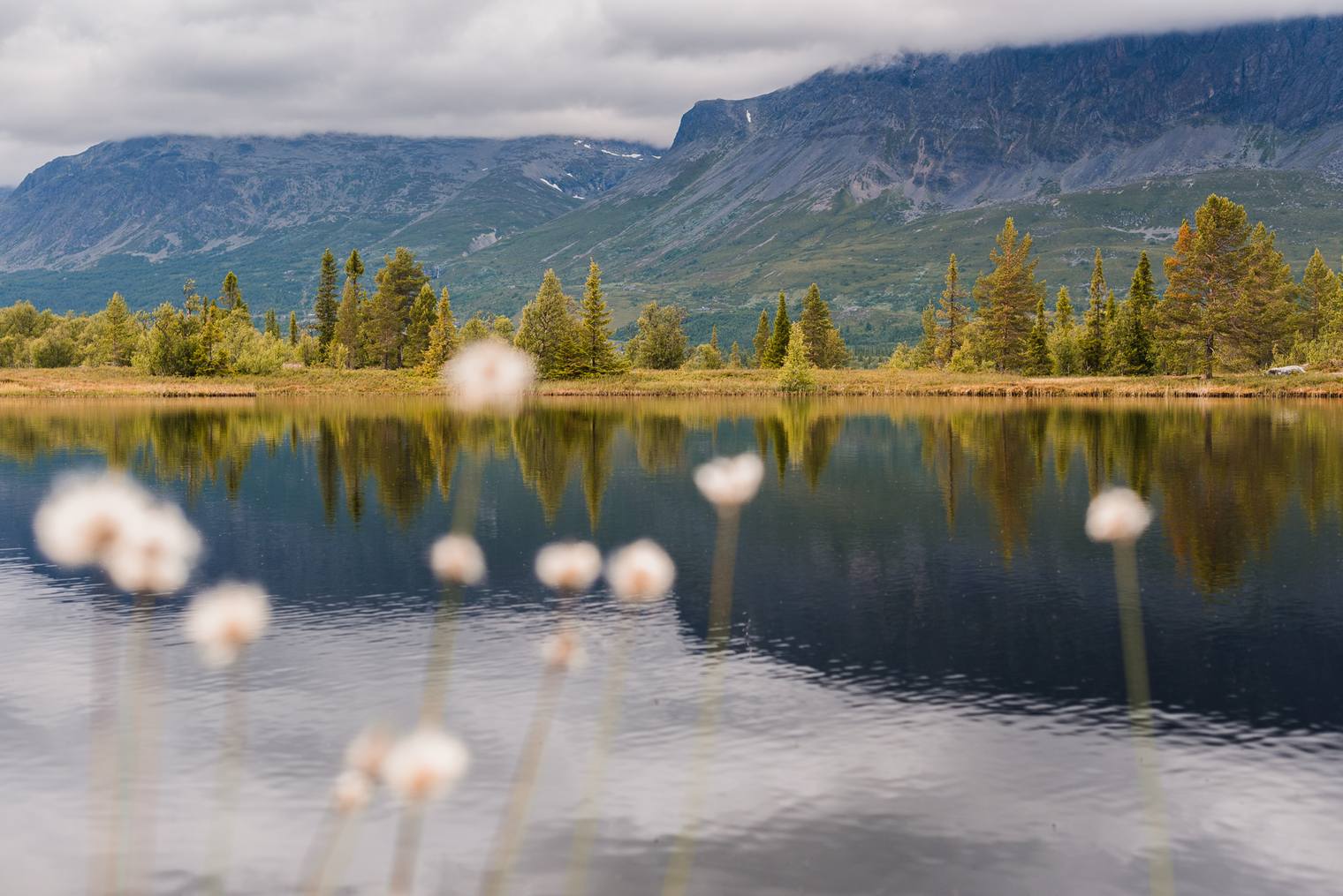 Photo edited with Landscape Capture One Styles by Northlandscapes