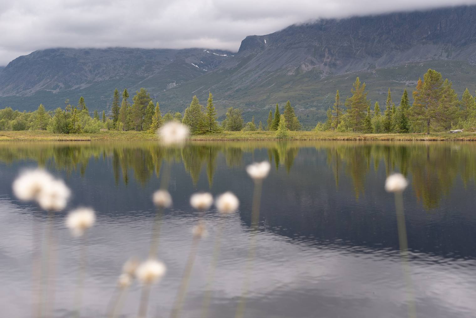 Original and unprocessed photo