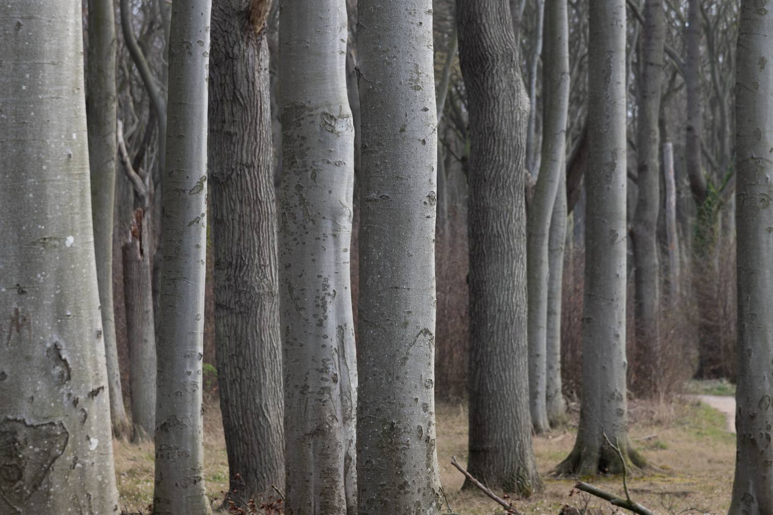 Original and unprocessed photo