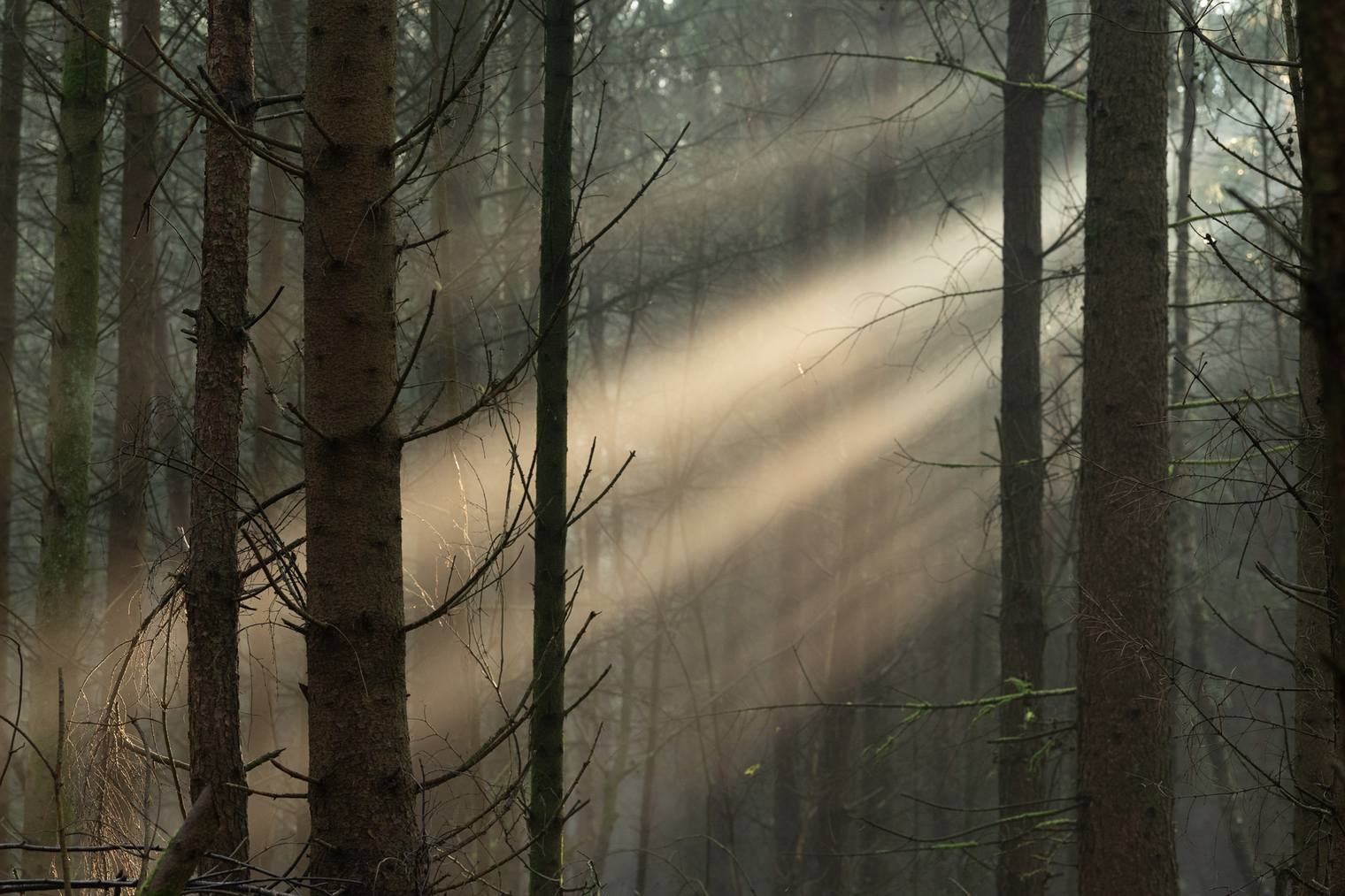 Original and unprocessed photo