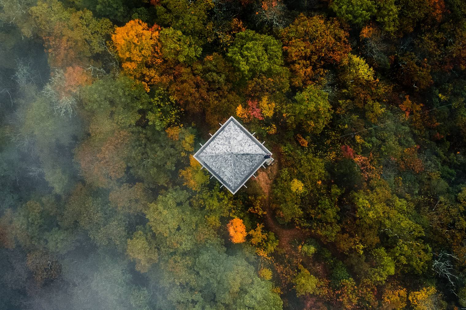 Forest landscape photo edited with Landscape Essentials Capture One Styles