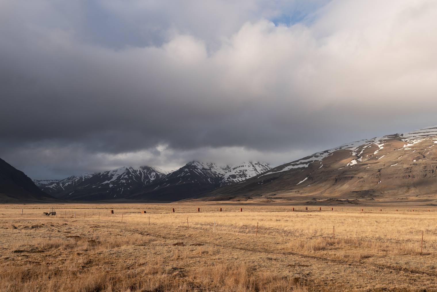 Original and unprocessed photo