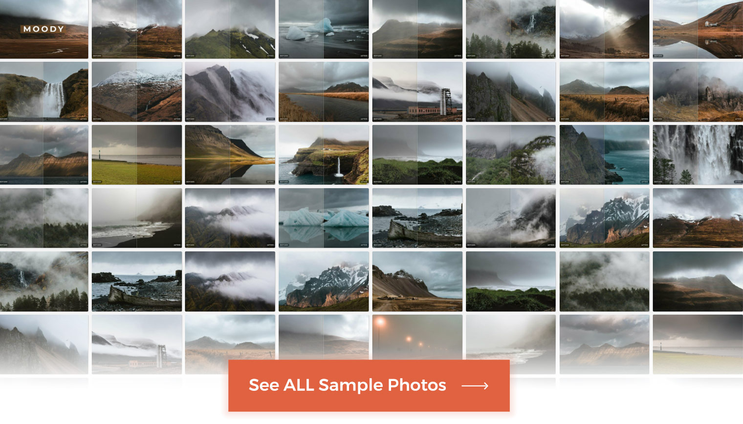 See all Sample Photos