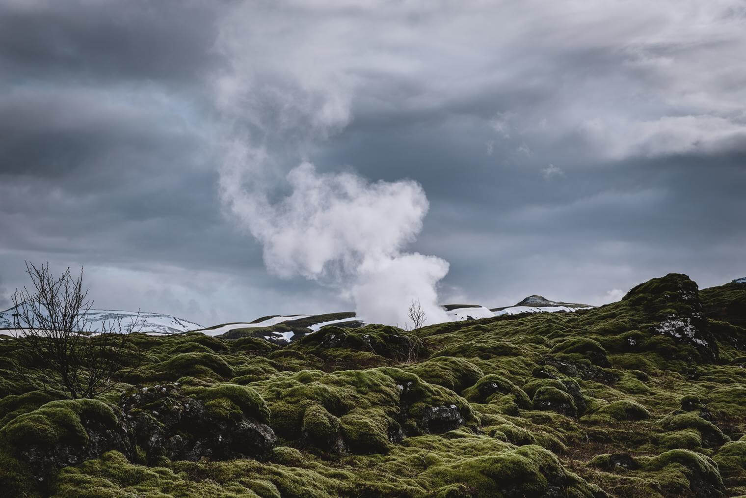 Icelandic Moss and Rocks - Edited with Signature Lightroom Presets for Landscape Photography