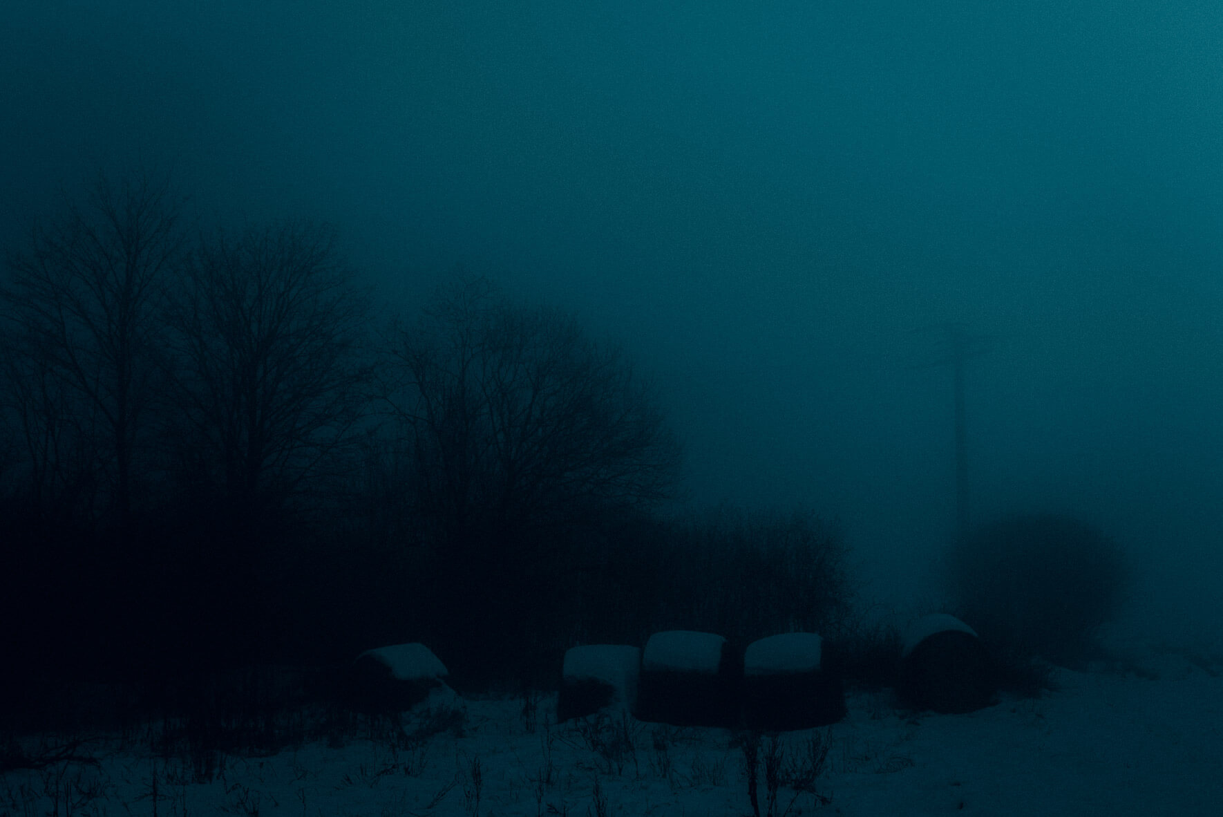 Dark forest in winter with fog and snow