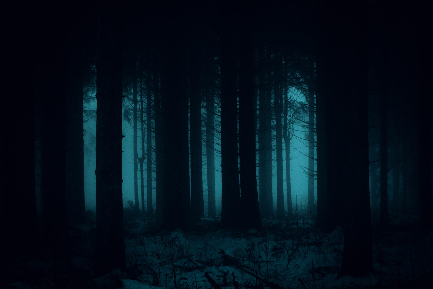 Dark forest - Fine art landscape photography by Jan Erik Waider