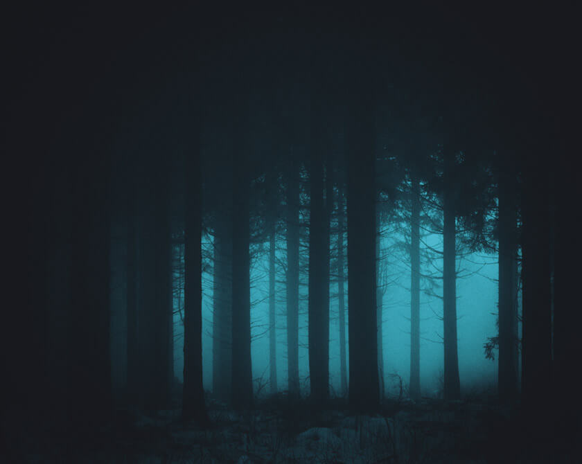 Dark and Abstract Forest Photography by Northlandscapes