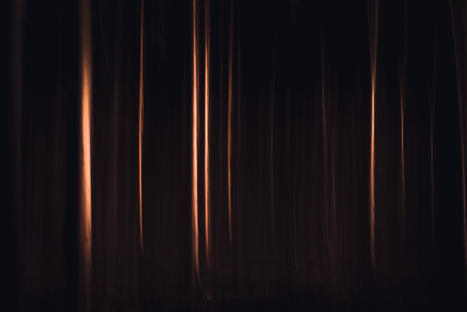 Intentional camera movement series of a forest in Germany by Jan Erik Waider