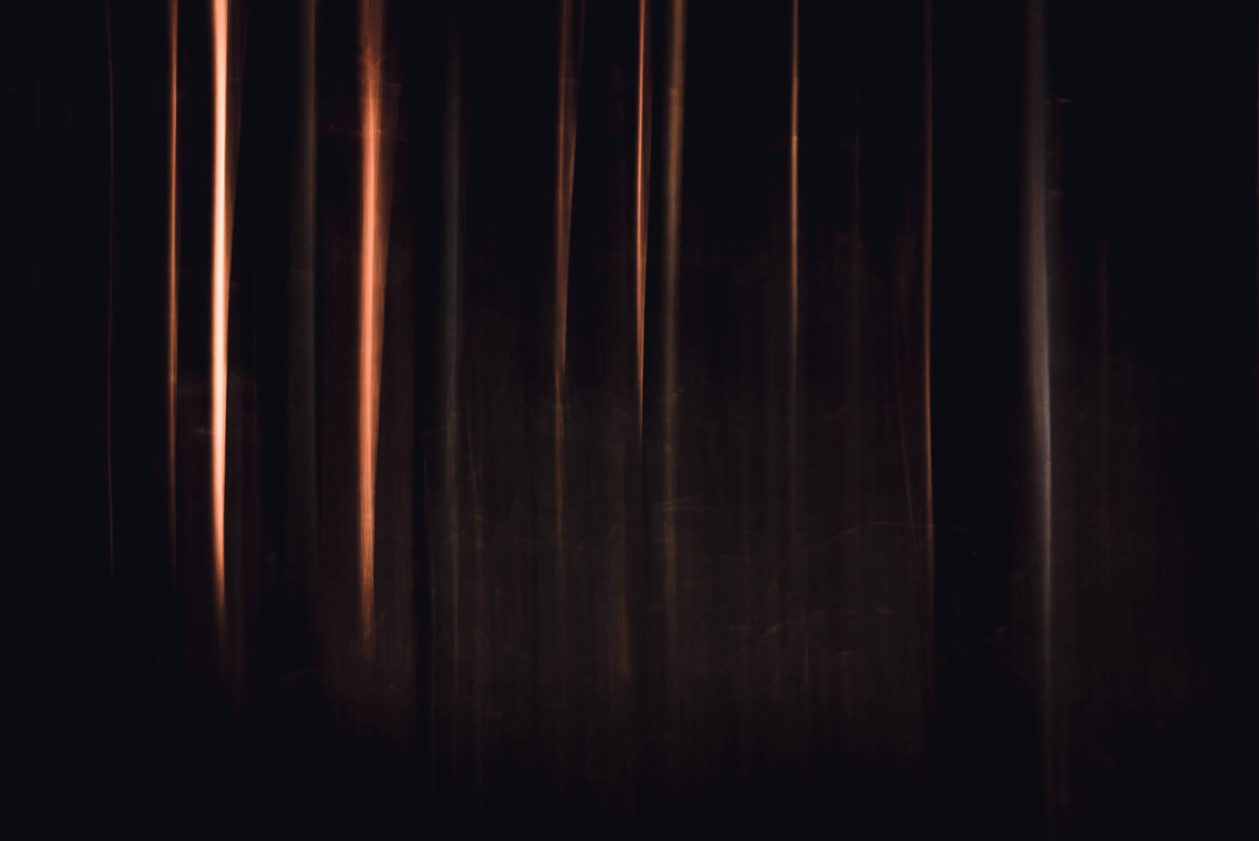 Intentional camera movement of trees in a forest in Germany