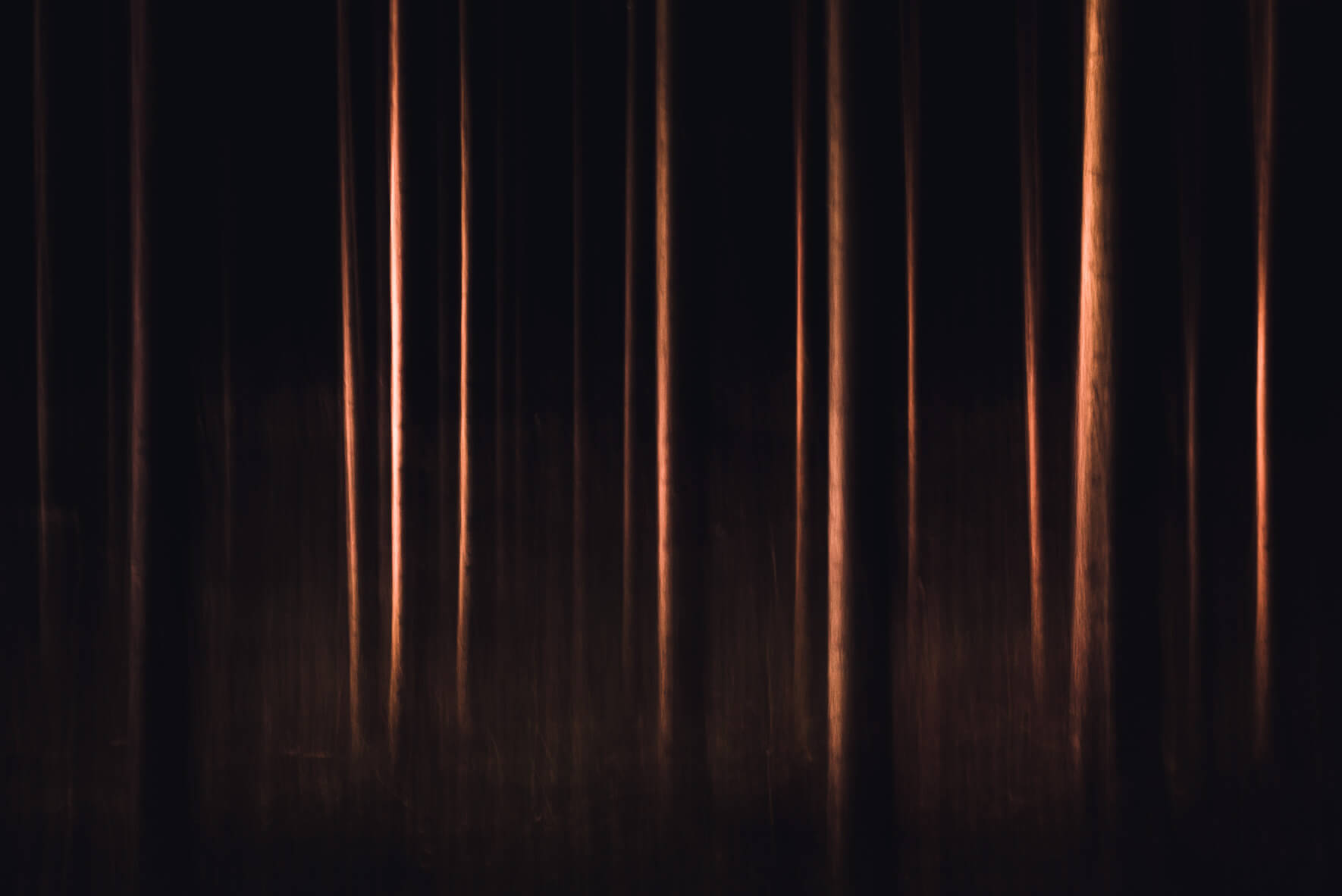 Intentional camera movement series of a dark forest