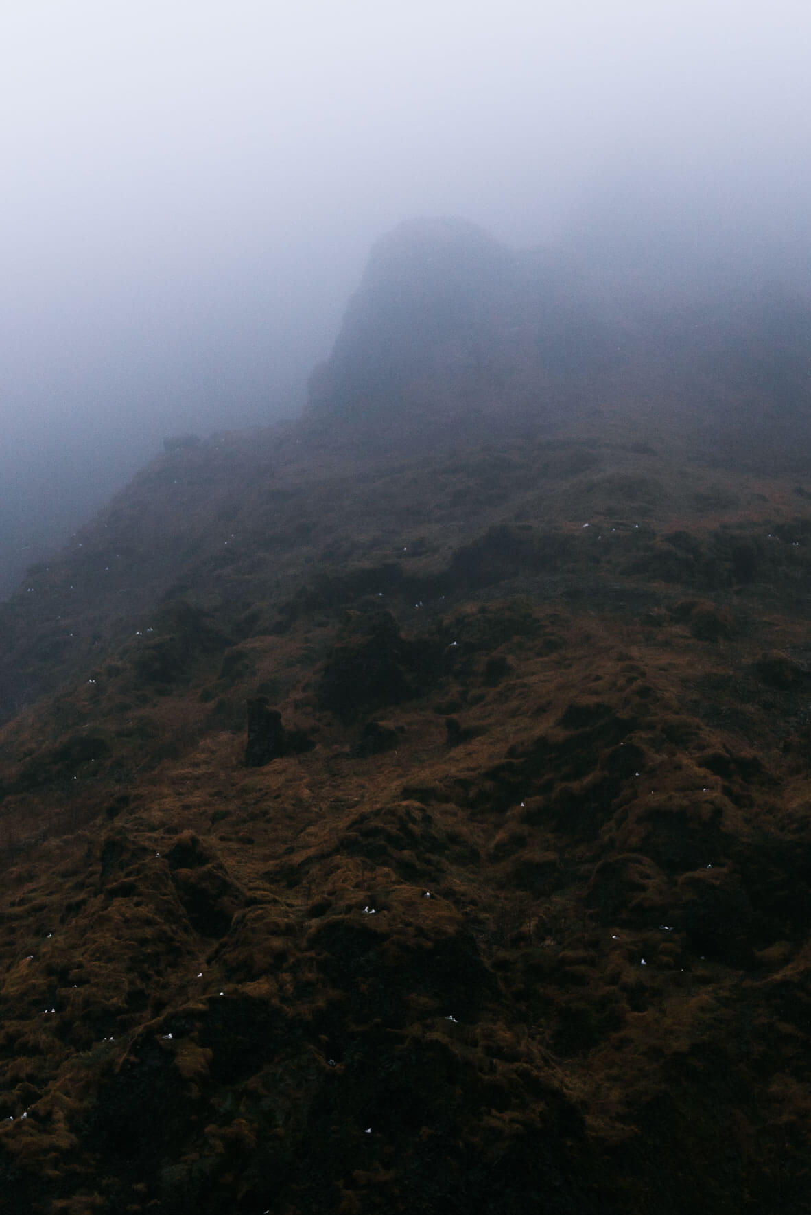 Reynisfjall mountain in Vík, Iceland by Northlandscapes