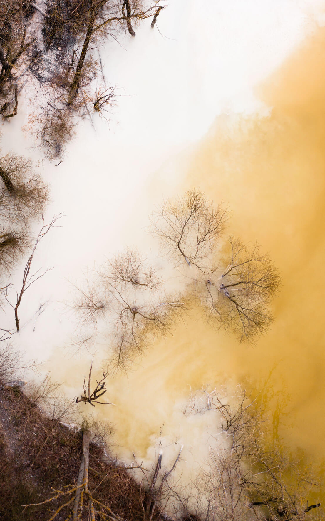 Chalk lake on the island of Rügen in abstract colors