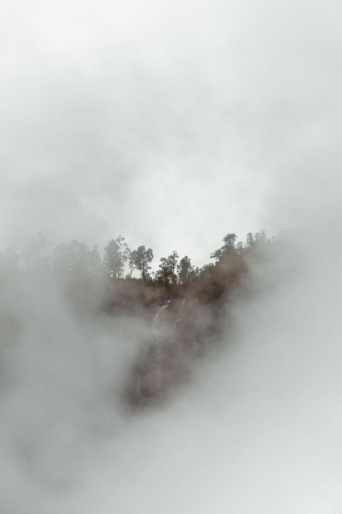 Clouds and Forest Landscape