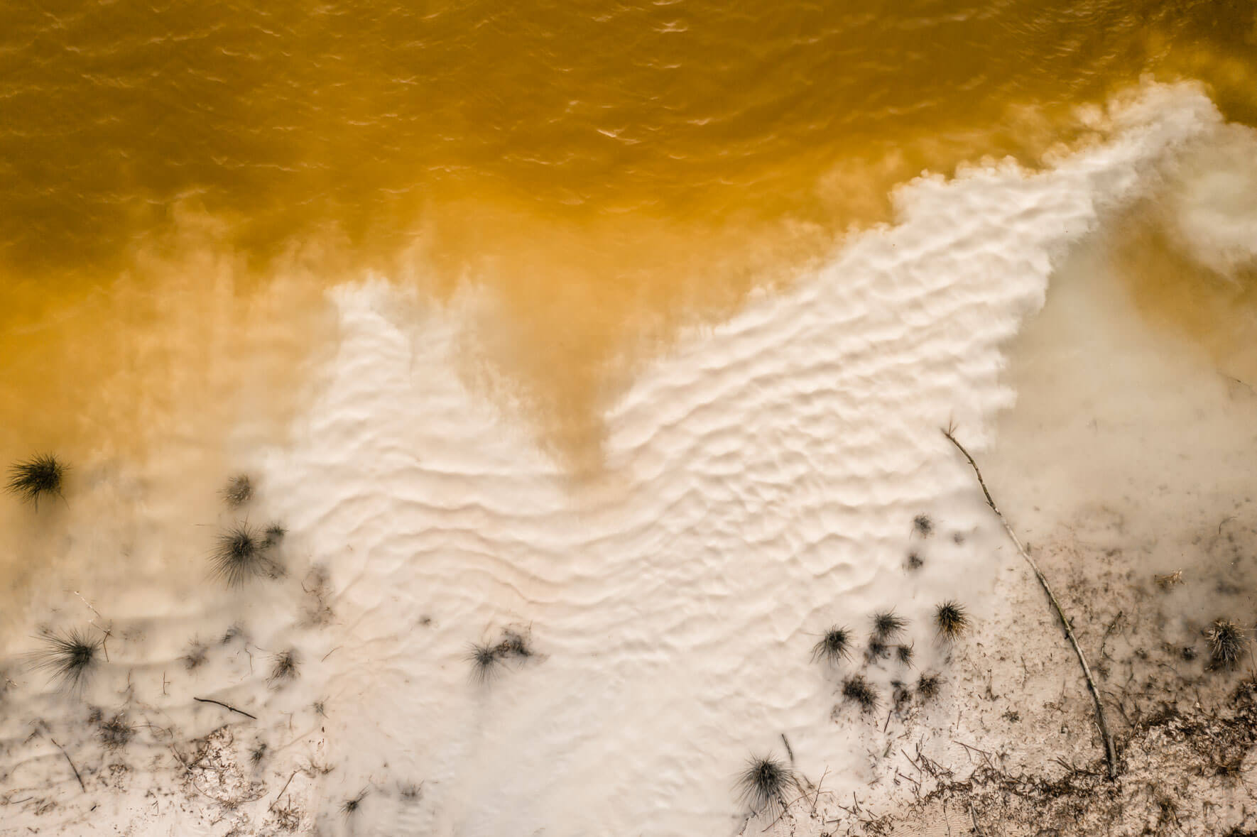 Yellow lake with chalk water and vegetation