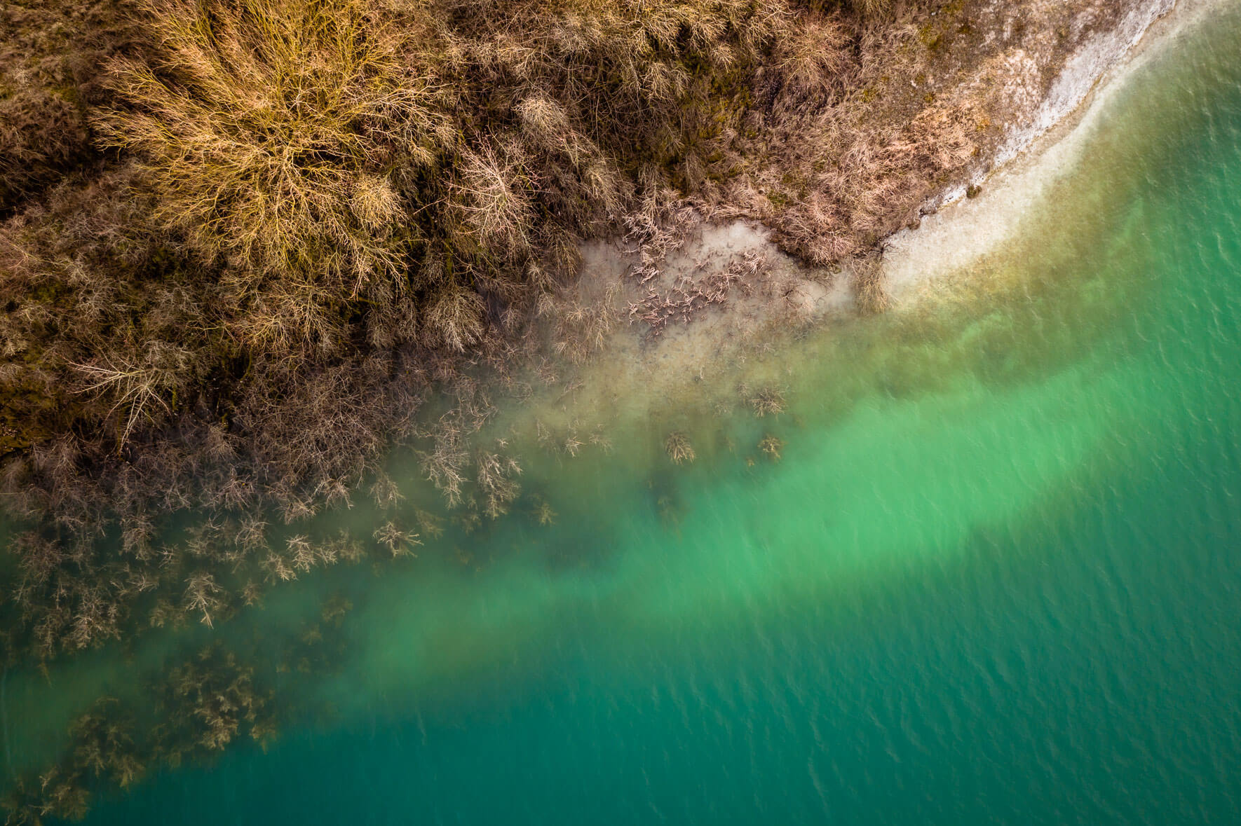 Turquoise lake with dead trees and small beach