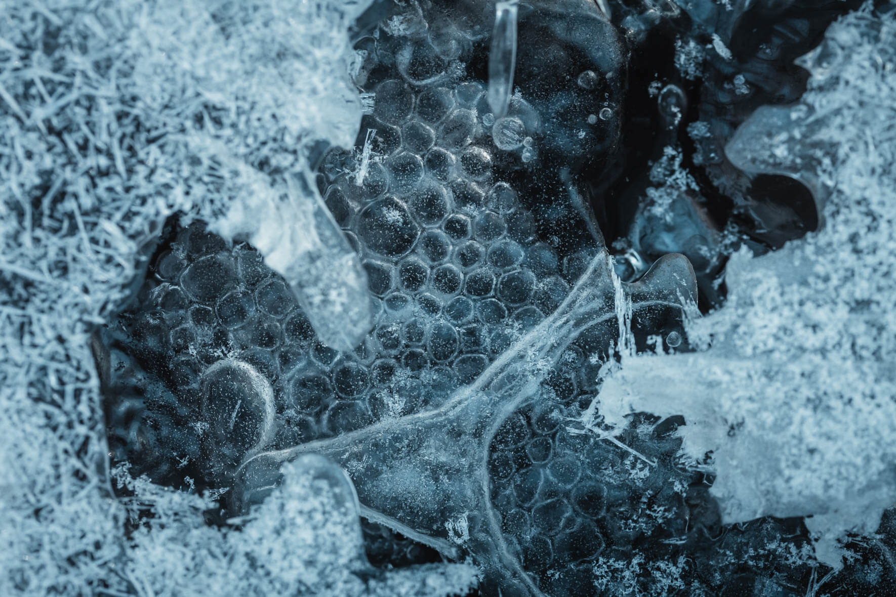 Abstract macro photography of a puddle with frozen air bubbles