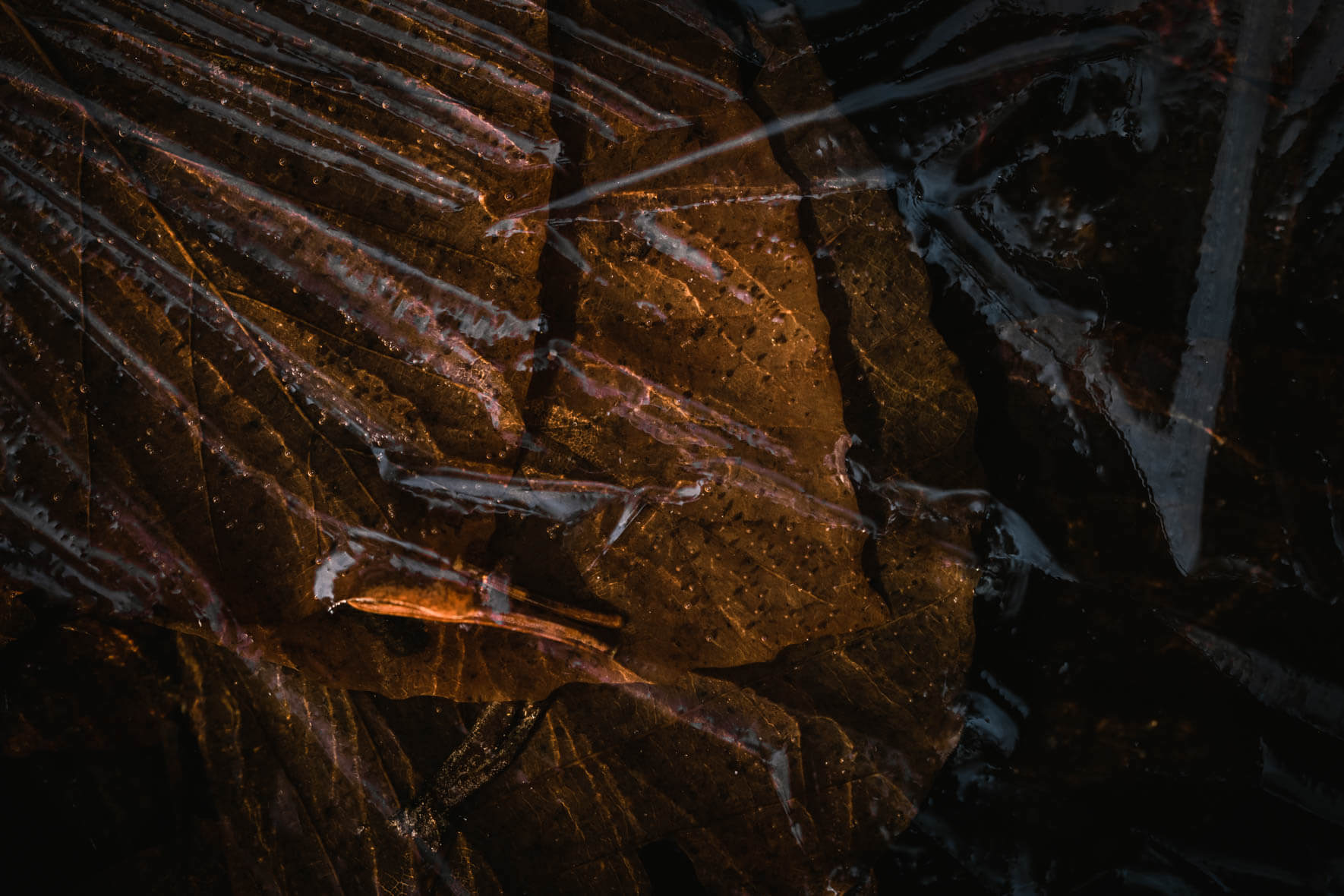 Abstract macro photography of a frozen puddle and ice textures