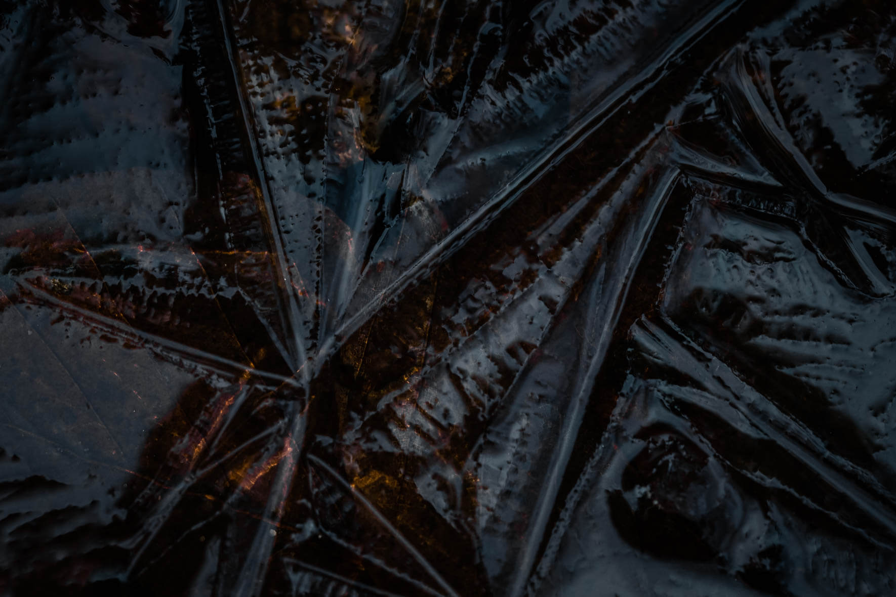 Macro photography of a frozen puddle with abstract textures