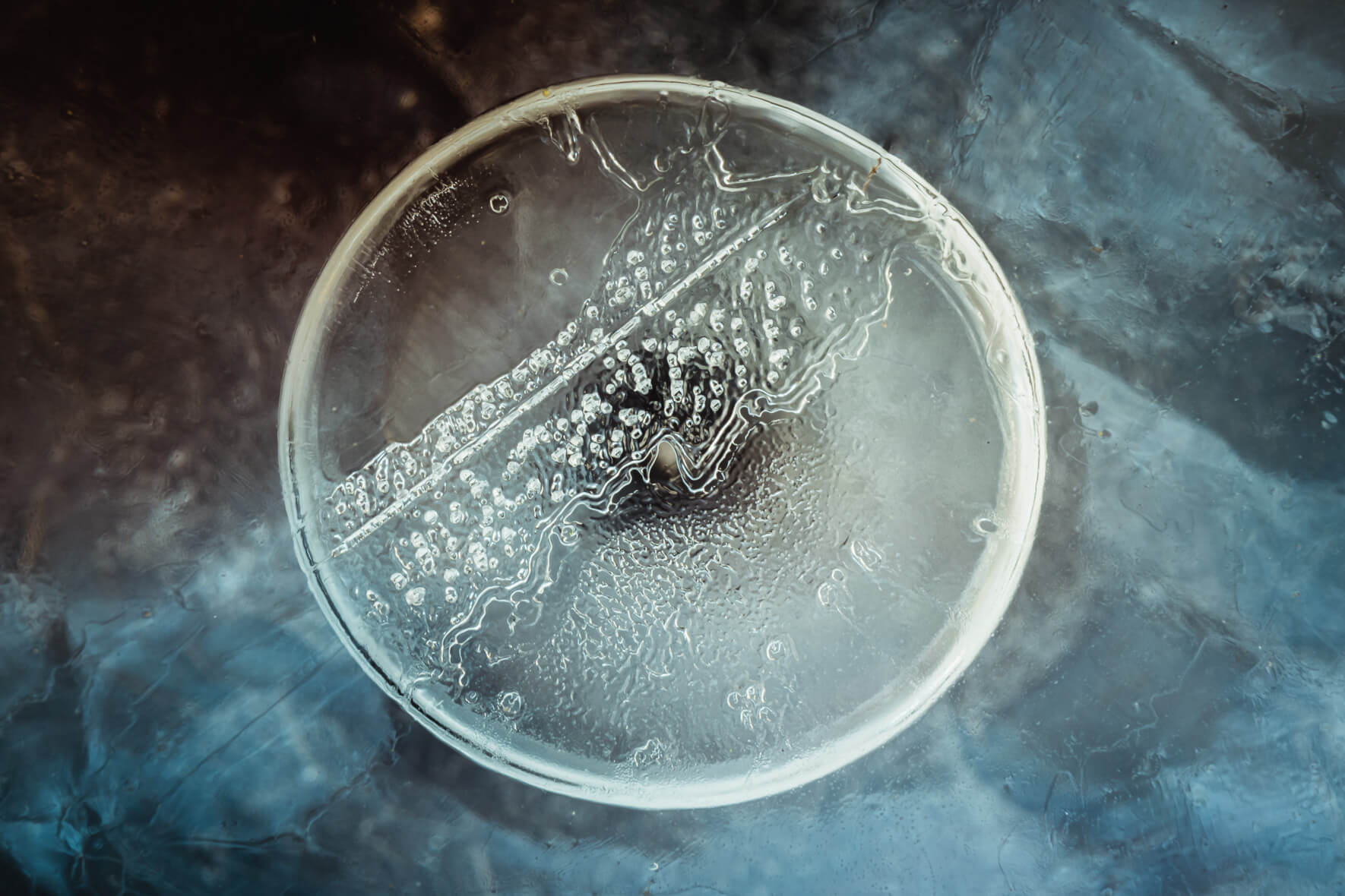 Macro Photography of Frozen Air Bubble in Puddle