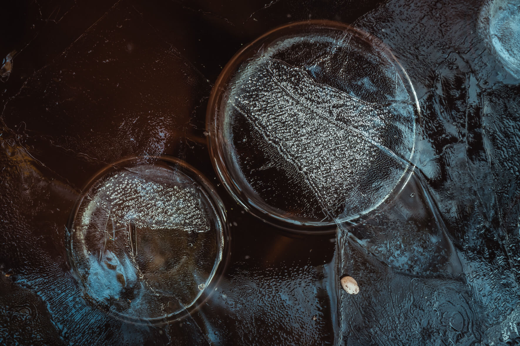 Abstract Macro Photography of Air Bubbles