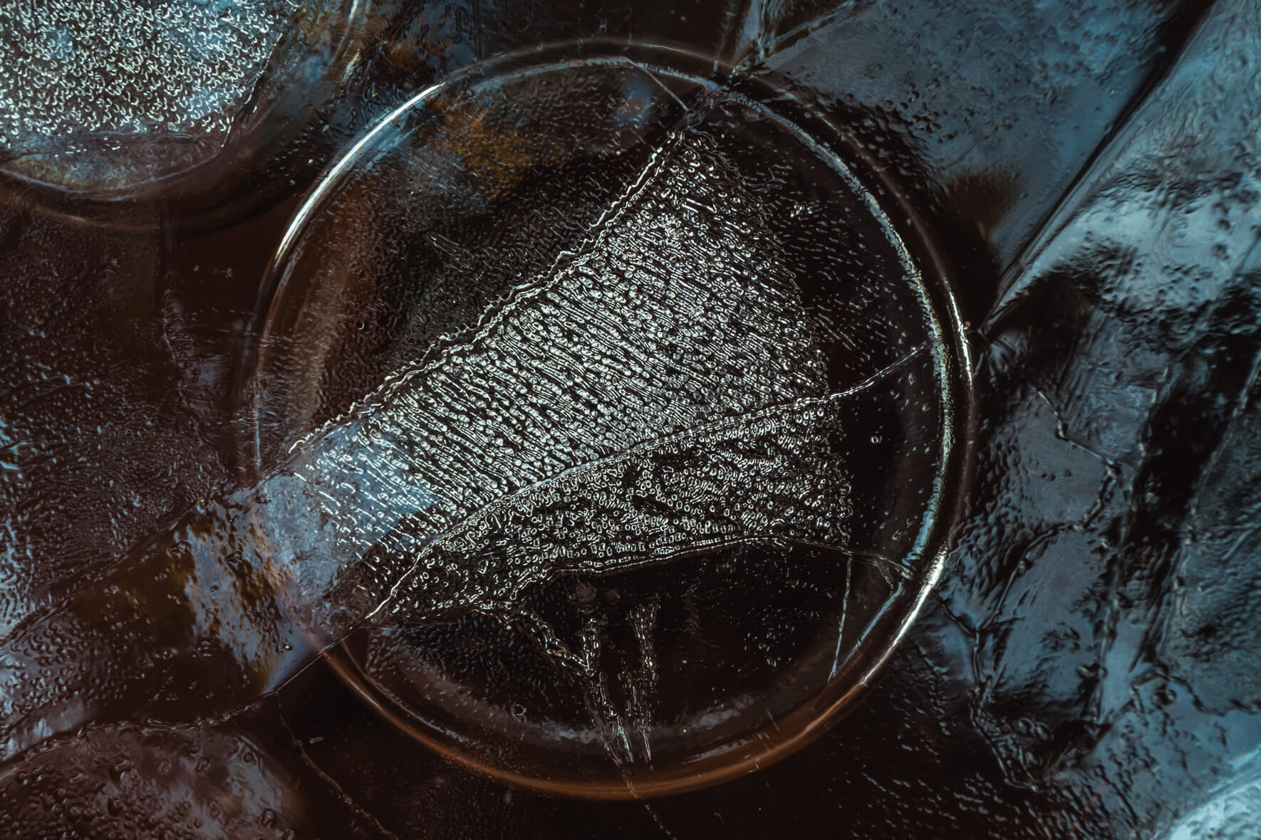 Winter Macro Photography of Frozen Air Bubble in Water