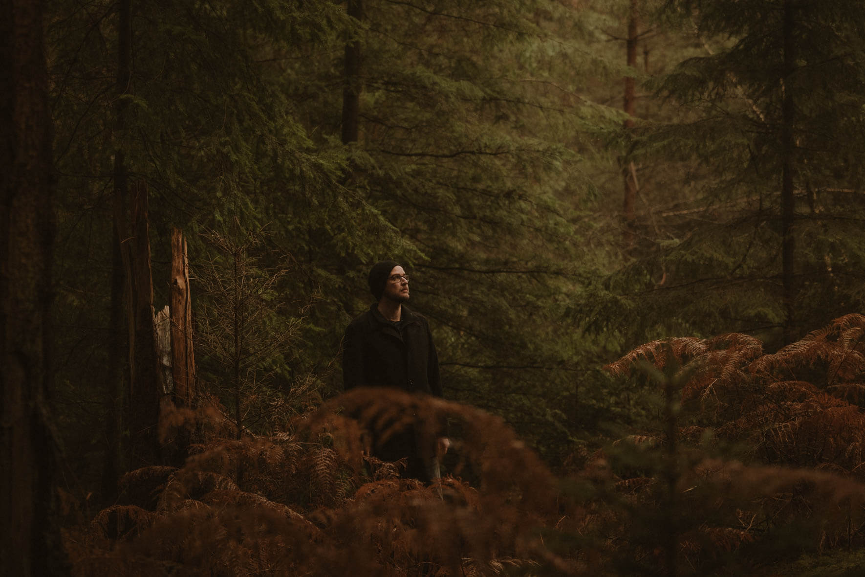 Man standing between a tree stump and ferns in a dark autumn forest